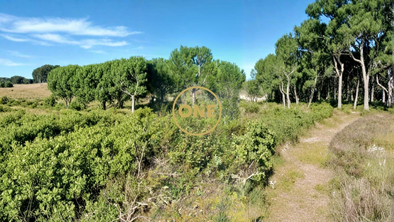 Terreno para Venda em Olaia e Paço Foto 5