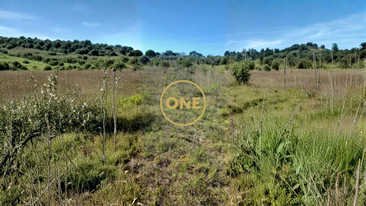 Terreno para Venda em Olaia e Paço Foto 4