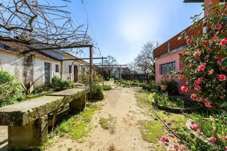 Moradia T5 para Venda em Barrô e Aguada de Baixo Foto 36