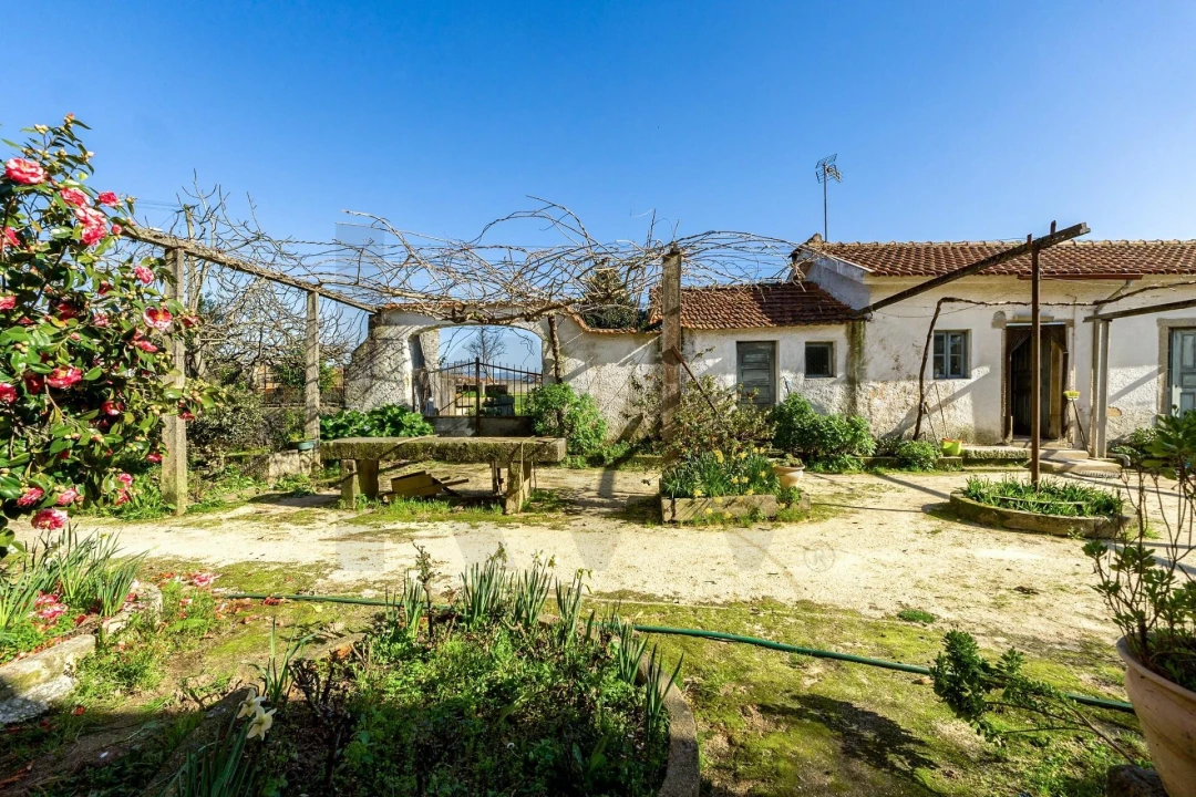 Moradia T5 para Venda em Barrô e Aguada de Baixo Foto 35