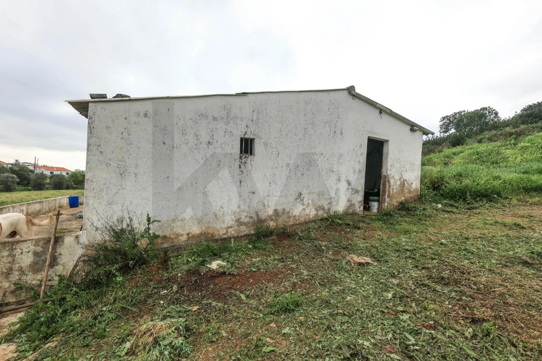 Quinta T1 para Venda em Mexilhoeira Grande Foto 17