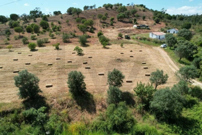 Quinta T1 para Venda em Mexilhoeira Grande