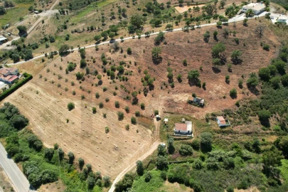 Quinta T1 para Venda em Mexilhoeira Grande