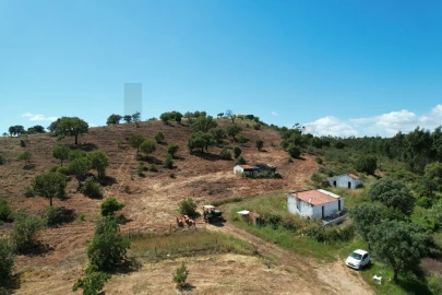 Quinta T1 para Venda em Mexilhoeira Grande