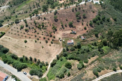 Quinta T1 para Venda em Mexilhoeira Grande