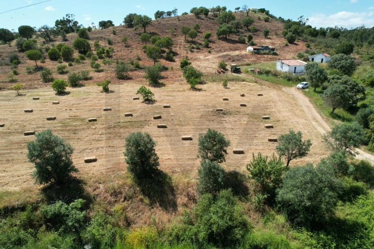 Quinta T1 para Venda em Mexilhoeira Grande Foto 4