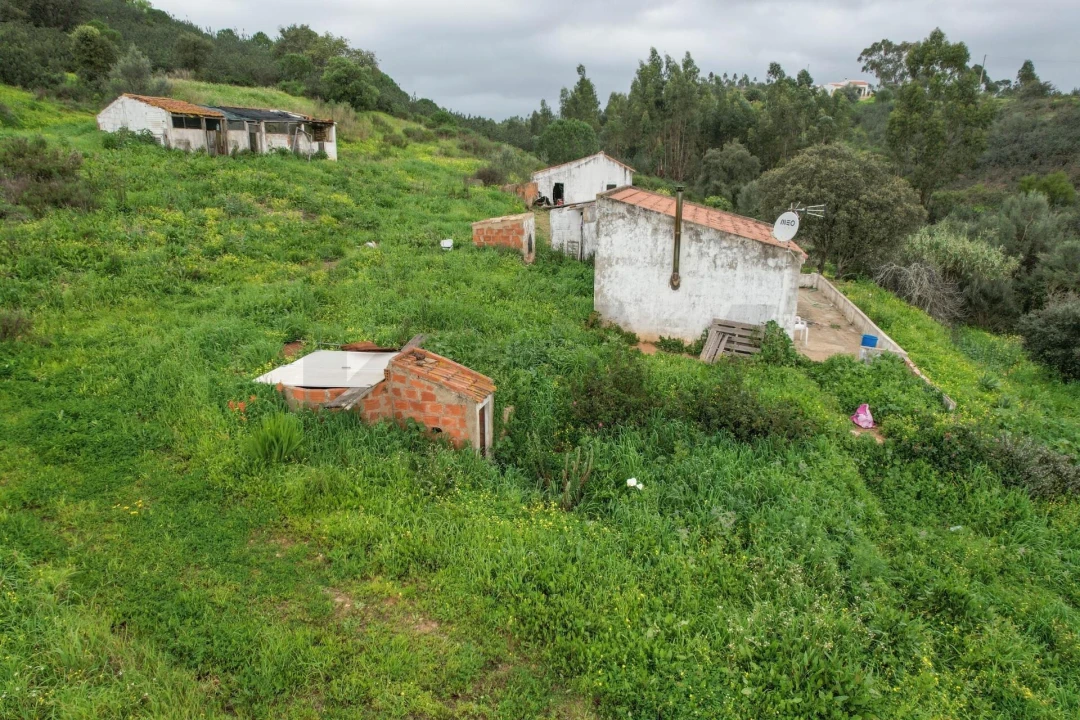 Quinta T1 para Venda em Mexilhoeira Grande Foto 15