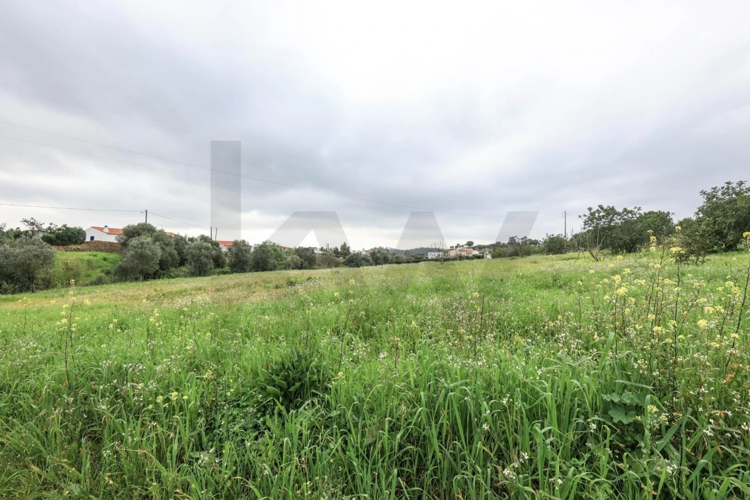 Quinta T1 para Venda em Mexilhoeira Grande Foto 23