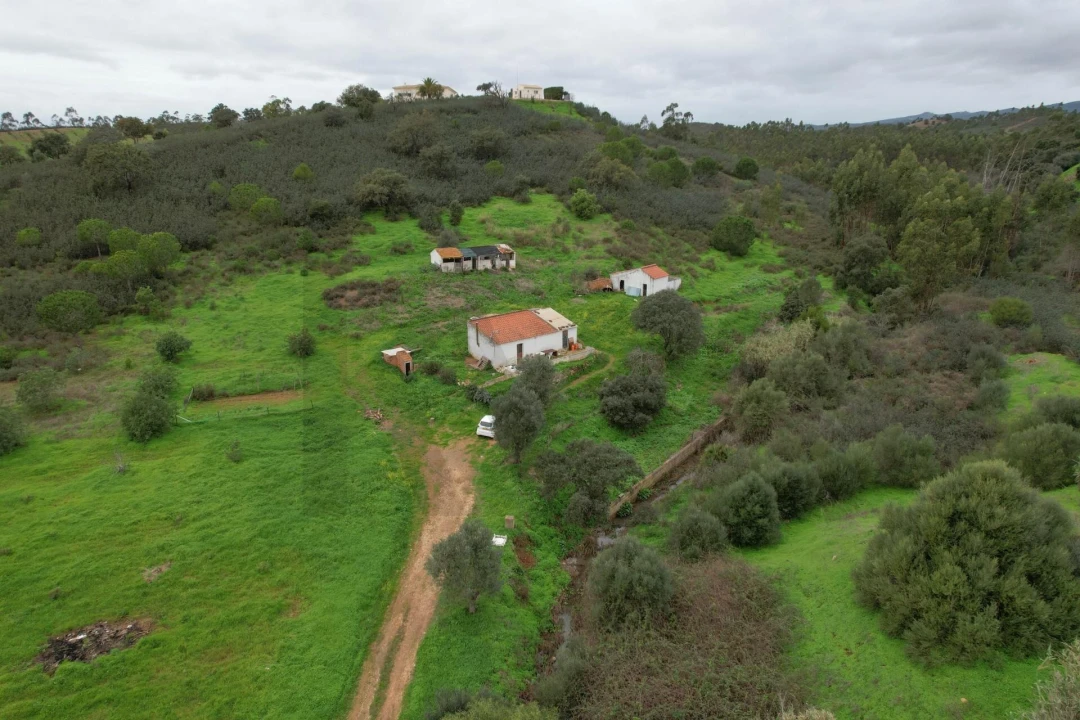 Quinta T1 para Venda em Mexilhoeira Grande Foto 25