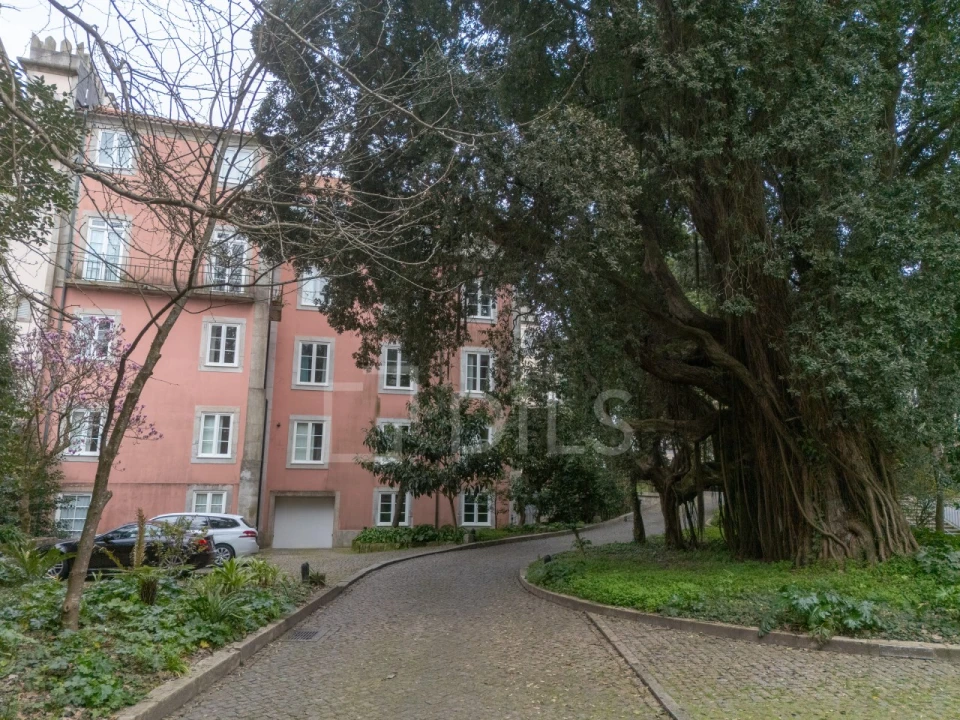 Apartamento T4 para Arrendamento em Cedofeita, Santo Ildefonso, Sé, Miragaia, São Nicolau e Vitória Foto 33