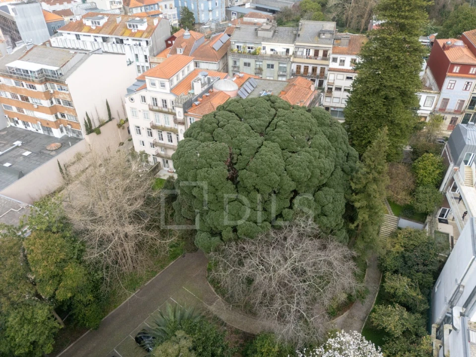 Apartamento T4 para Arrendamento em Cedofeita, Santo Ildefonso, Sé, Miragaia, São Nicolau e Vitória Foto 46