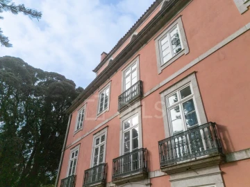 Apartamento T4 para Arrendamento em Cedofeita, Santo Ildefonso, Sé, Miragaia, São Nicolau e Vitória