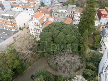 Apartamento T4 para Arrendamento em Cedofeita, Santo Ildefonso, Sé, Miragaia, São Nicolau e Vitória