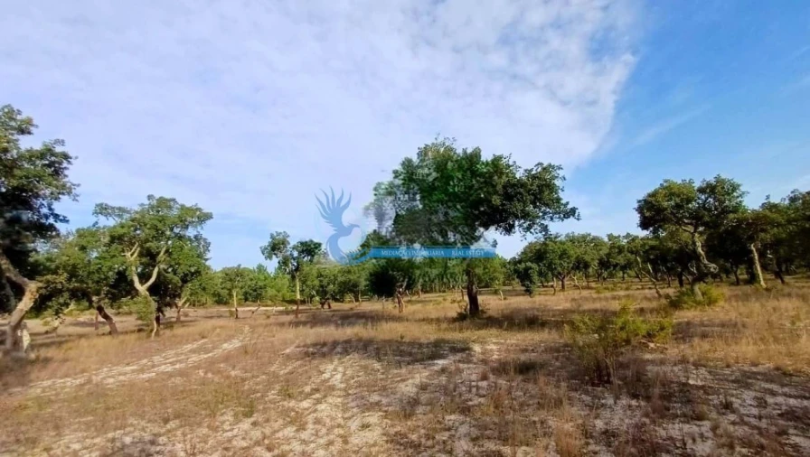 Quinta para Venda em Grândola e Santa Margarida da Serra Foto 8