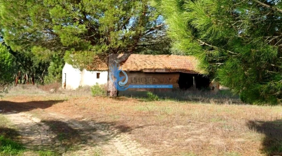 Quinta para Venda em Grândola e Santa Margarida da Serra Foto 2