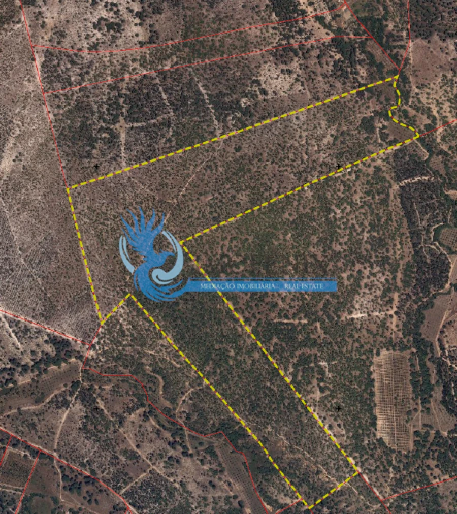 Quinta para Venda em Grândola e Santa Margarida da Serra Foto 9