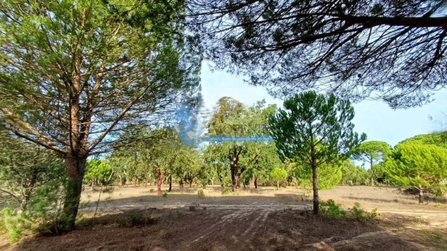 Quinta para Venda em Grândola e Santa Margarida da Serra Foto 3