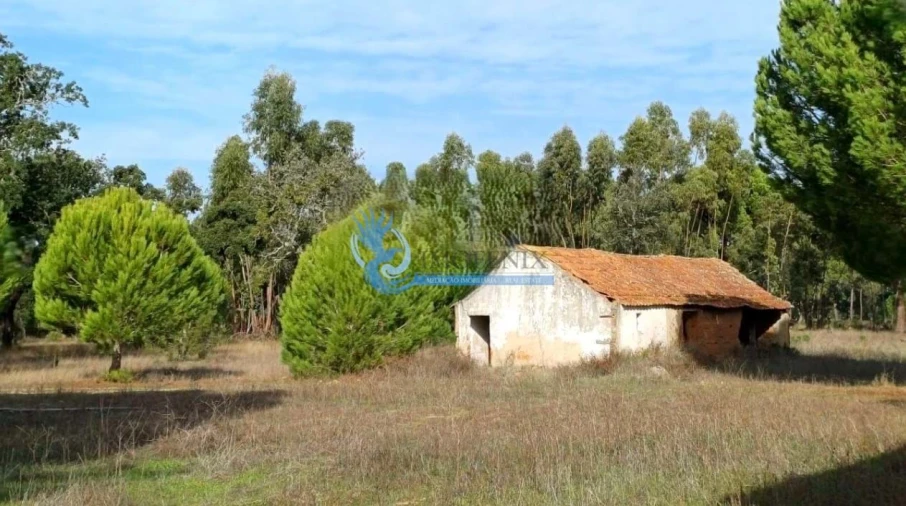 Quinta para Venda em Grândola e Santa Margarida da Serra Foto 4