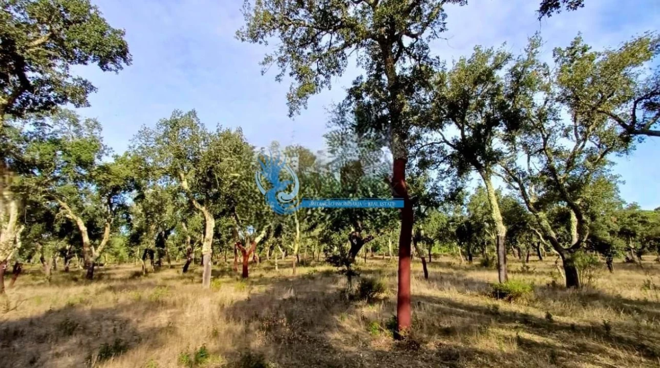 Quinta para Venda em Grândola e Santa Margarida da Serra Foto 7