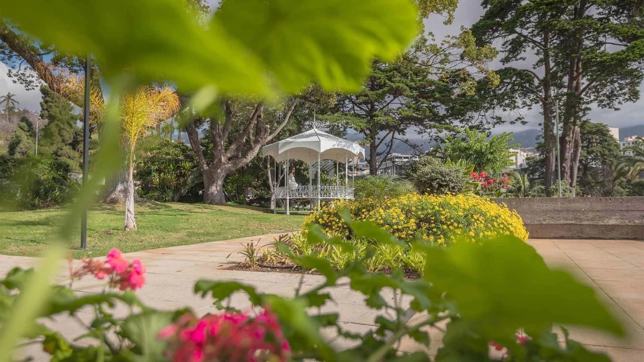 Apartamento T3 para Venda em São Martinho Foto 36