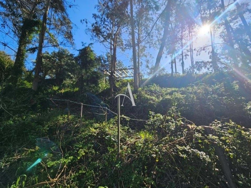 Terreno para Venda em Salir de Matos Foto 16
