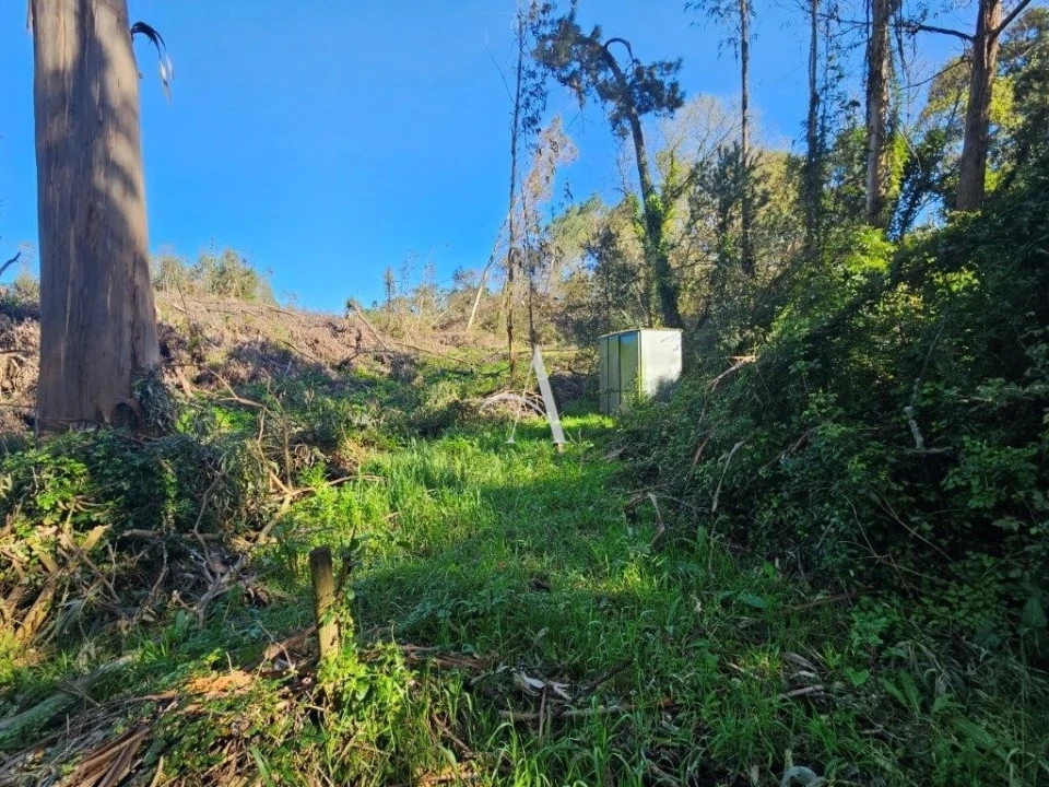 Terreno para Venda em Salir de Matos Foto 15