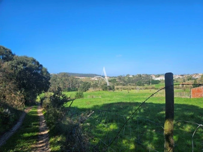 Terreno para Venda em Salir de Matos Foto 17