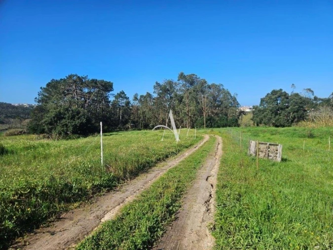 Terreno para Venda em Salir de Matos Foto 14