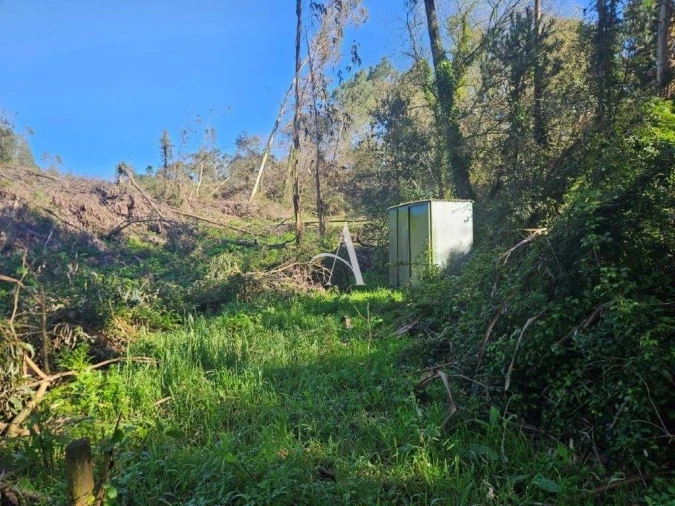 Terreno para Venda em Salir de Matos Foto 9