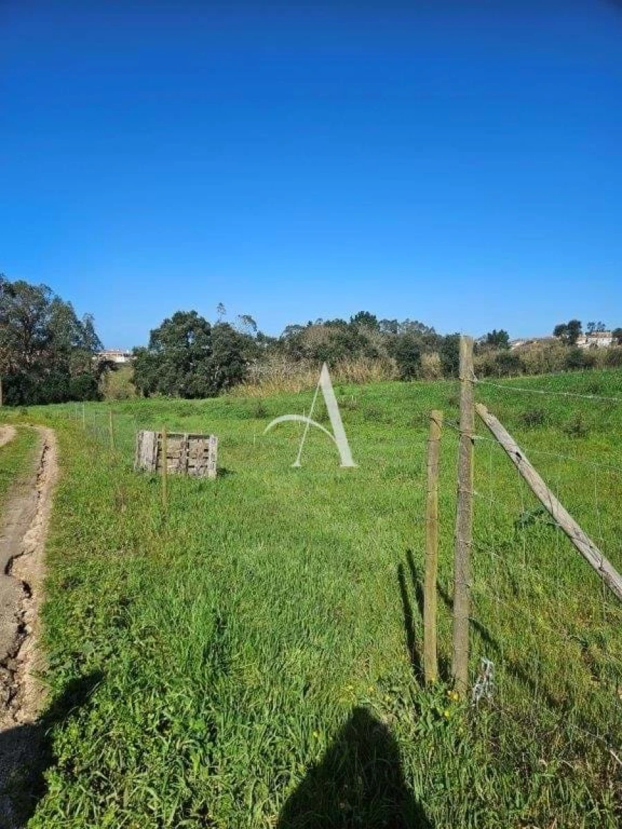Terreno para Venda em Salir de Matos Foto 3