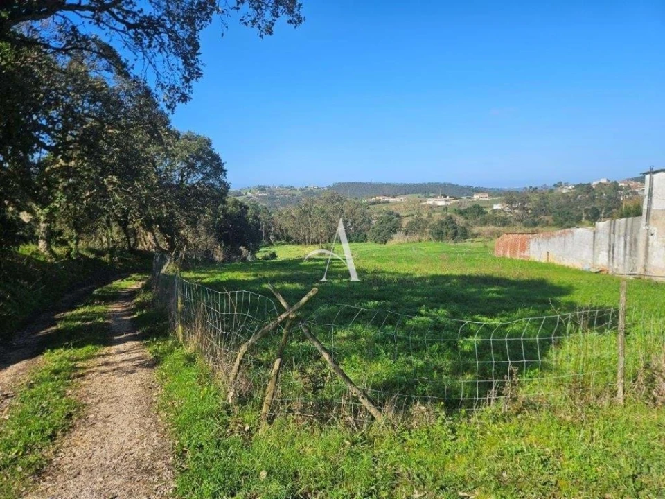 Terreno para Venda em Salir de Matos Foto 12