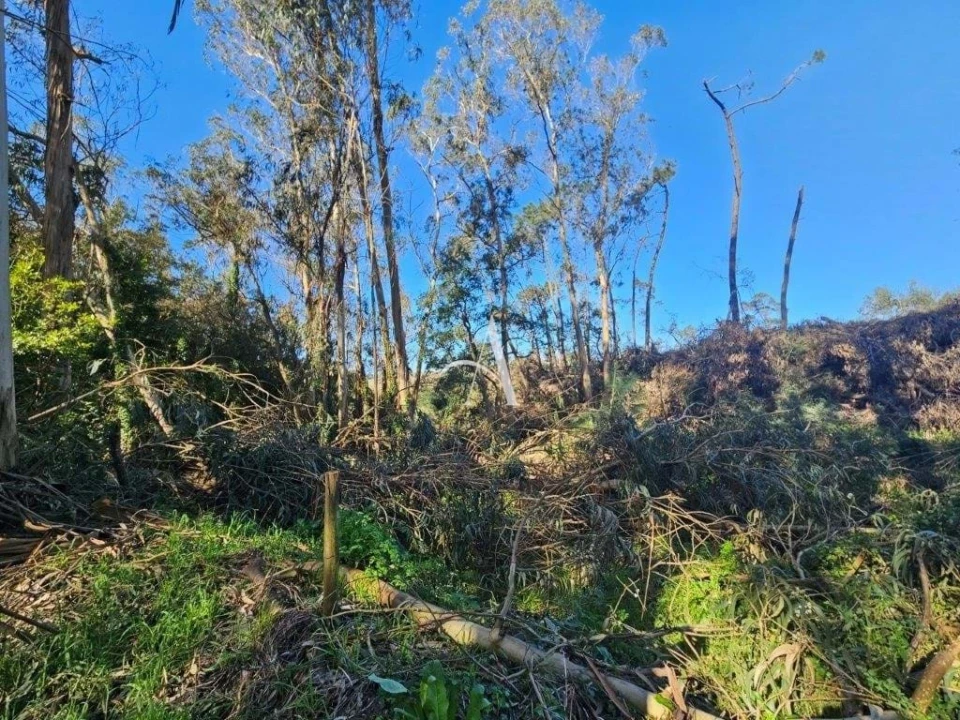 Terreno para Venda em Salir de Matos Foto 11
