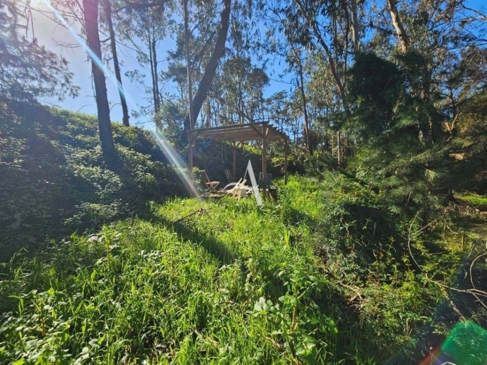 Terreno para Venda em Salir de Matos Foto 13