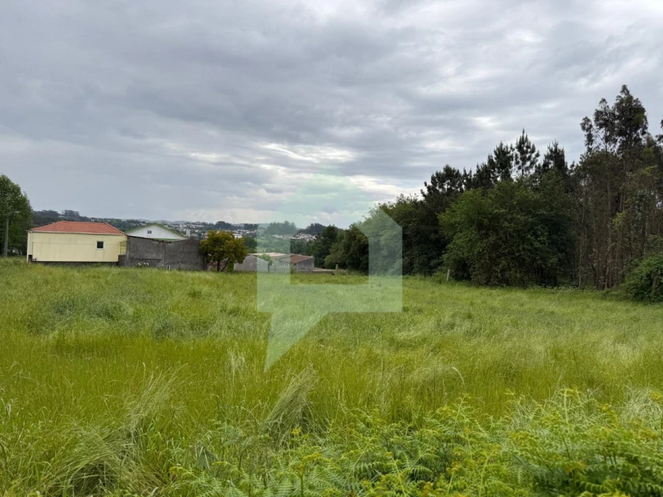 Terreno Agricola ou Rústico para Venda em São Pedro Fins Foto 2