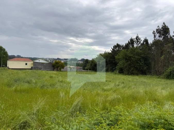 Terreno Agricola ou Rústico para Venda em São Pedro Fins Foto 2