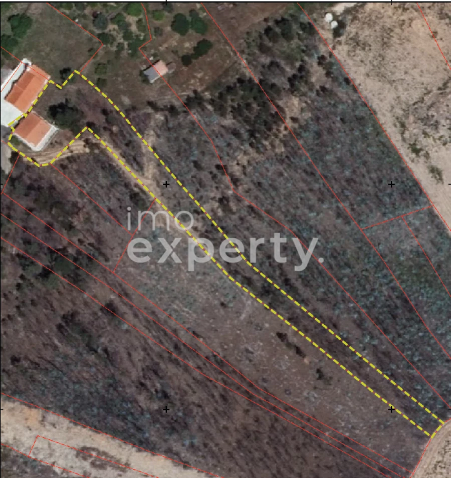 Moradia T4 para Venda em Mação, Penhascoso e Aboboreira Foto 34