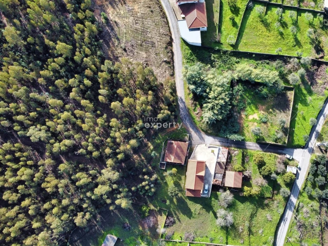 Moradia T4 para Venda em Mação, Penhascoso e Aboboreira Foto 30