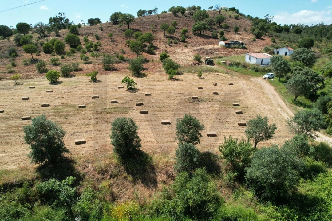 Quinta T1 para Venda em Mexilhoeira Grande Foto 4