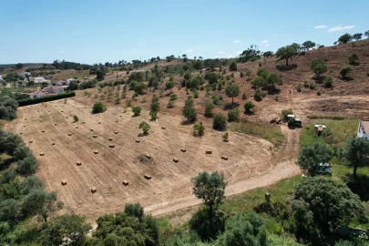Quinta T1 para Venda em Mexilhoeira Grande