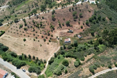 Quinta T1 para Venda em Mexilhoeira Grande