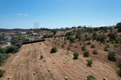 Quinta T1 para Venda em Mexilhoeira Grande
