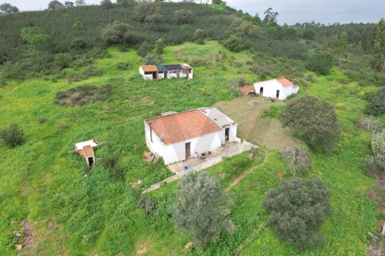 Quinta T1 para Venda em Mexilhoeira Grande Foto 1