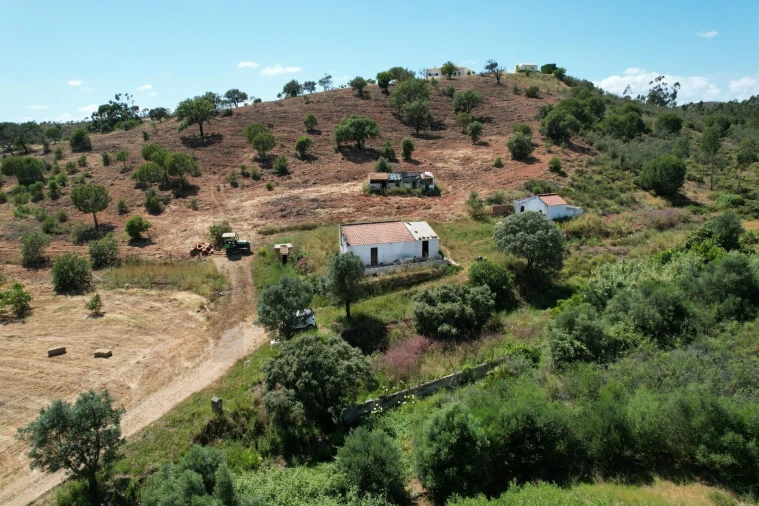 Quinta T1 para Venda em Mexilhoeira Grande
