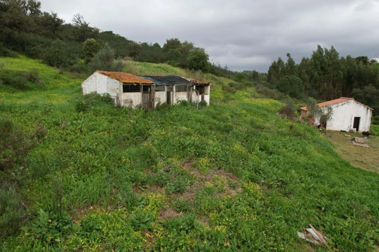 Quinta T1 para Venda em Mexilhoeira Grande Foto 8