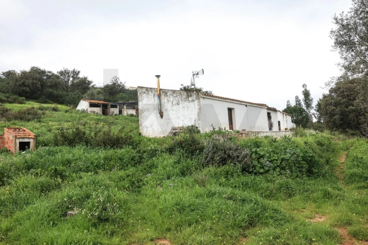 Quinta T1 para Venda em Mexilhoeira Grande Foto 32