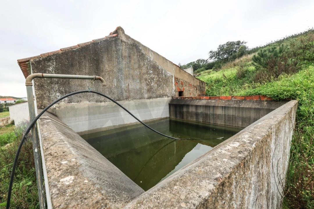 Quinta T1 para Venda em Mexilhoeira Grande Foto 31