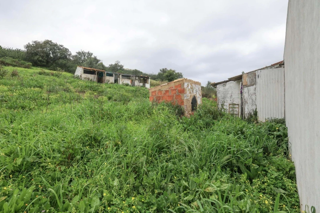 Quinta T1 para Venda em Mexilhoeira Grande Foto 21