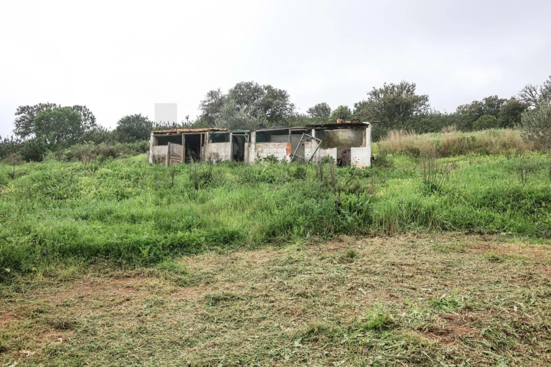 Quinta T1 para Venda em Mexilhoeira Grande Foto 18