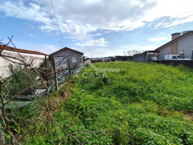 Terreno para Venda em Ovar, São João, Arada e São Vicente de Pereira Jusã Foto 2