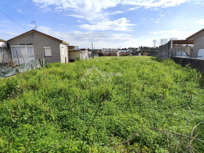 Terreno para Venda em Ovar, São João, Arada e São Vicente de Pereira Jusã Foto 3